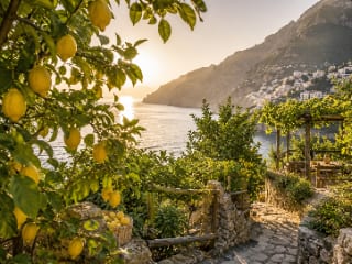Lemon Grove Visit